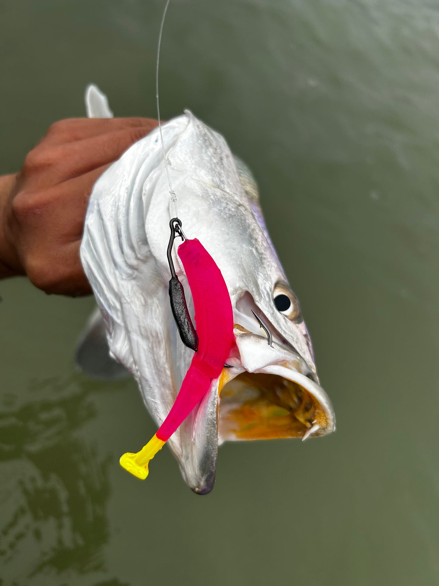 Lil' Wedgie - Bull ba Gum