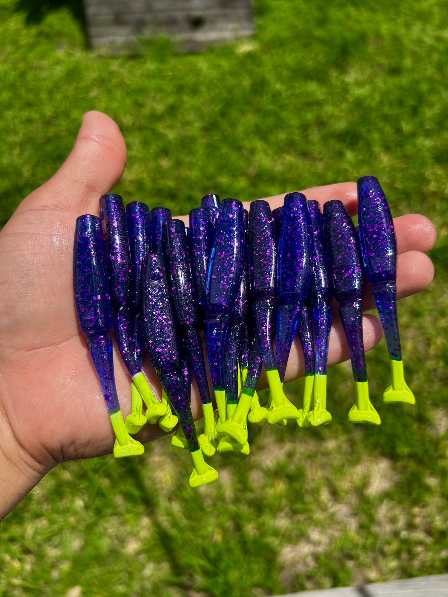 Lil' Wedgie - Cosmic