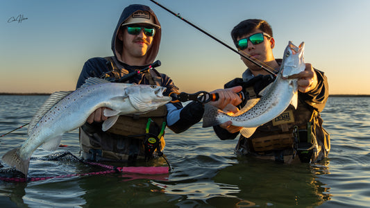 Lil' Wedgie - Hibiscus