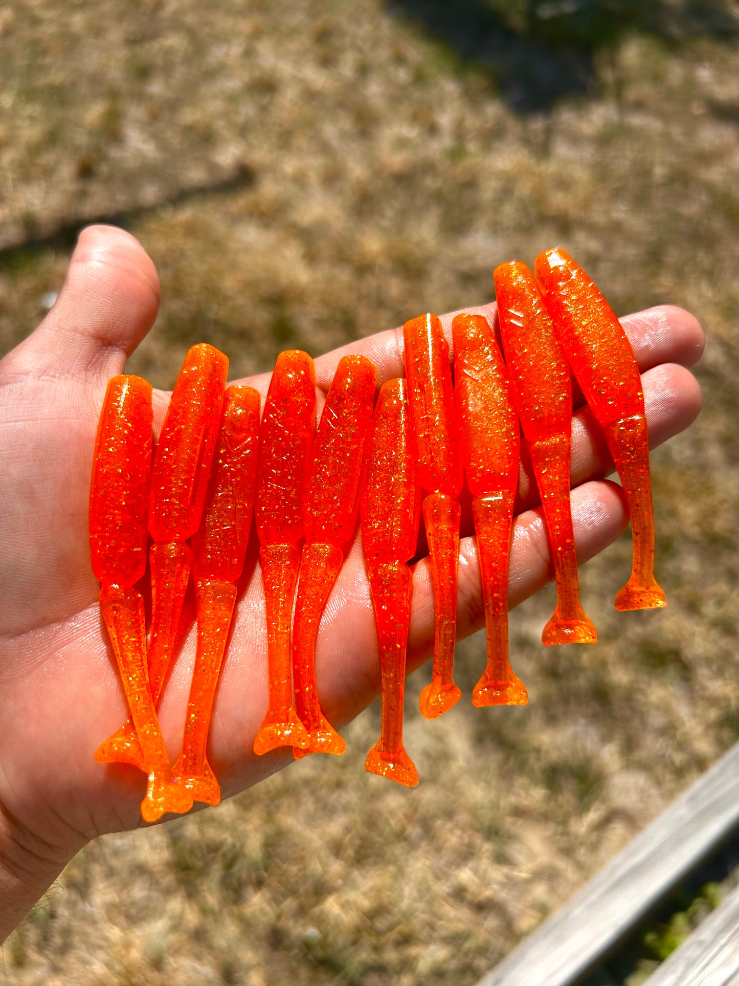 Lil' Wedgie - Tangerine Tango