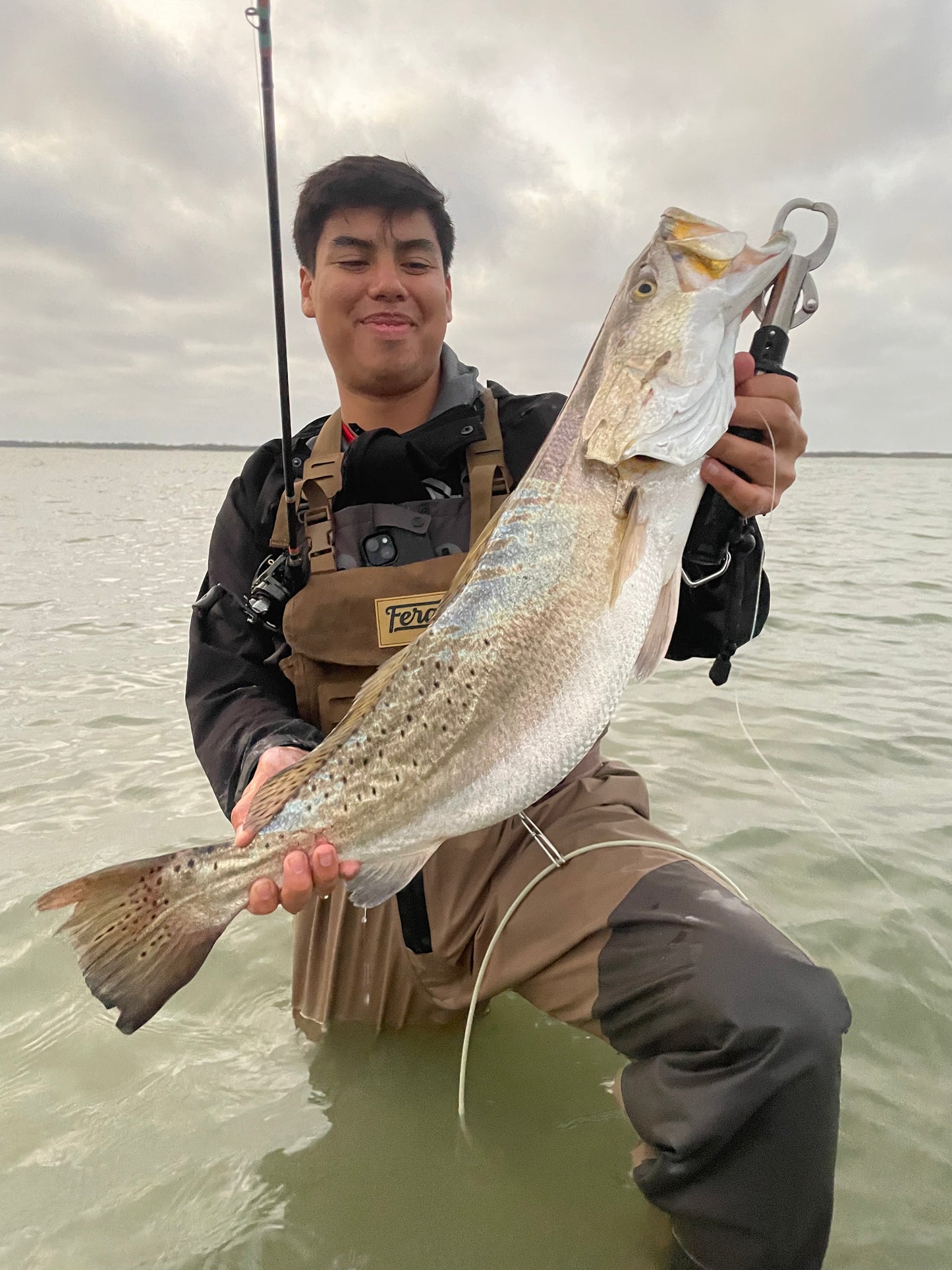 Lil' Wedgie - Pearl n Chart