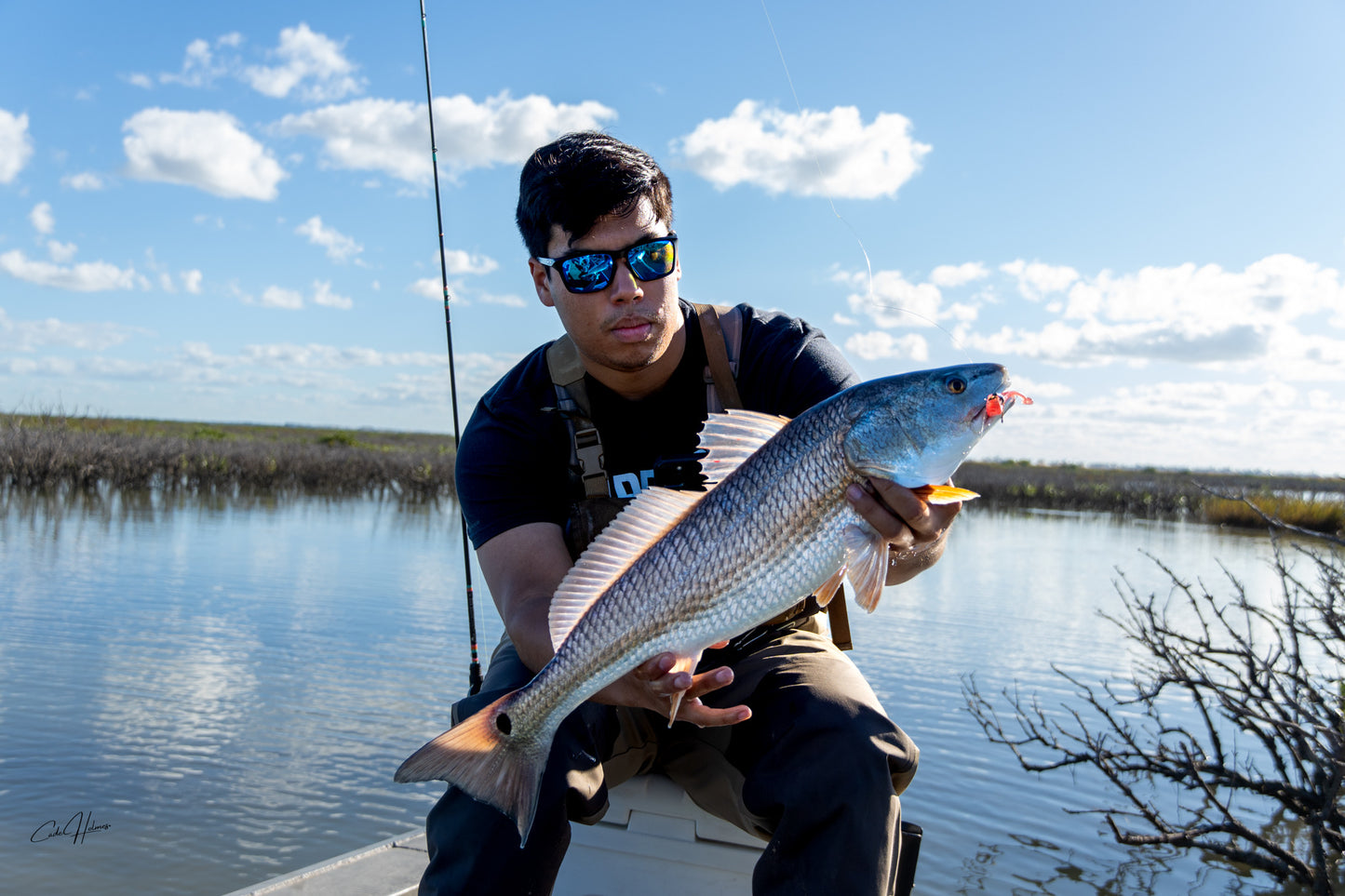 Lil' Wedgie- Pretty Peach