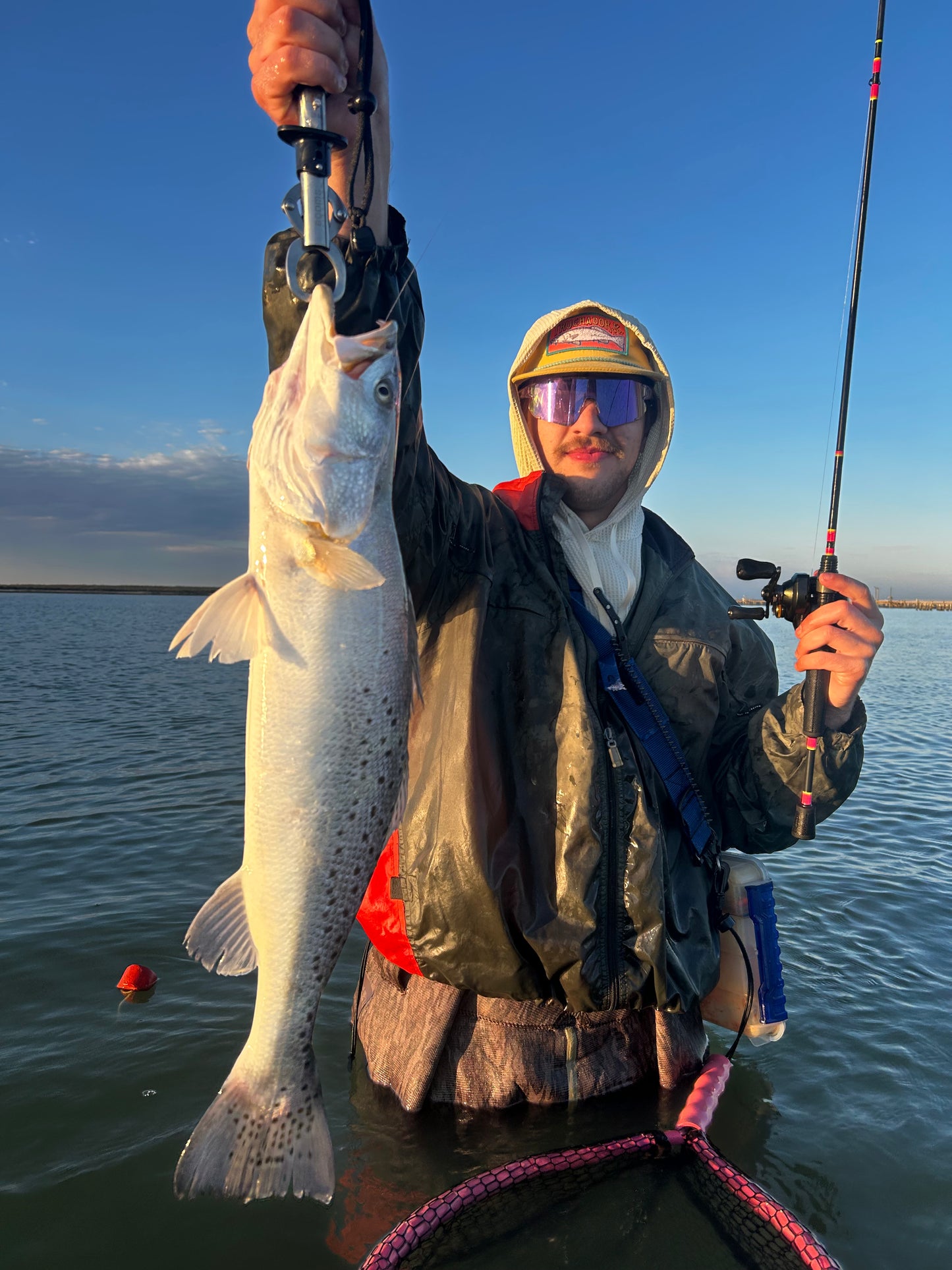 Lil' Wedgie - Pearl n Chart