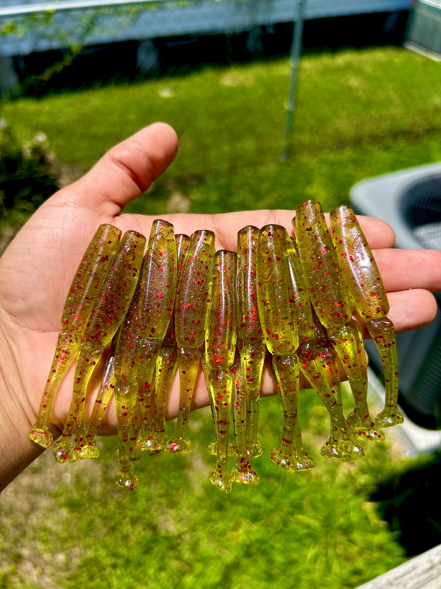 Lil Wedgie - Spicy Dill